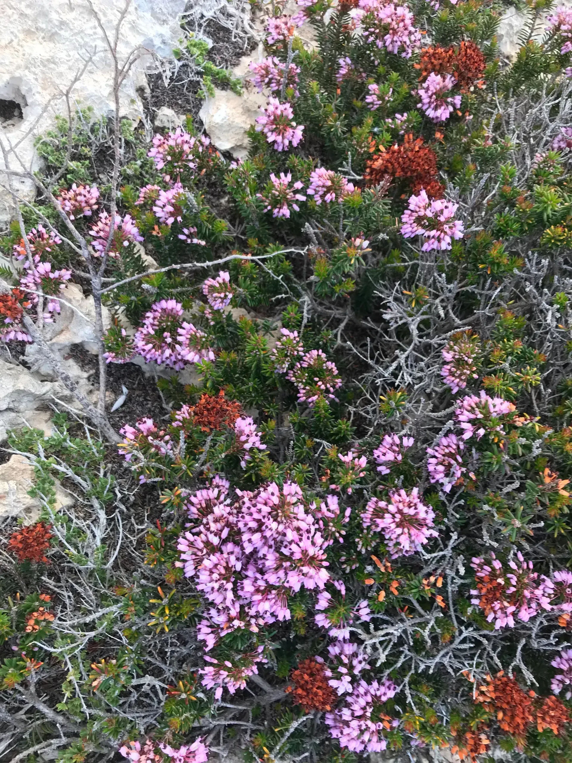 The centre in Lampedusa