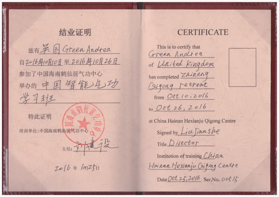 Director certificate