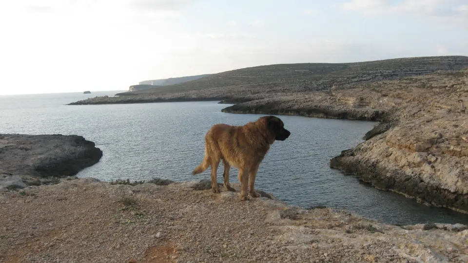 Island panorama